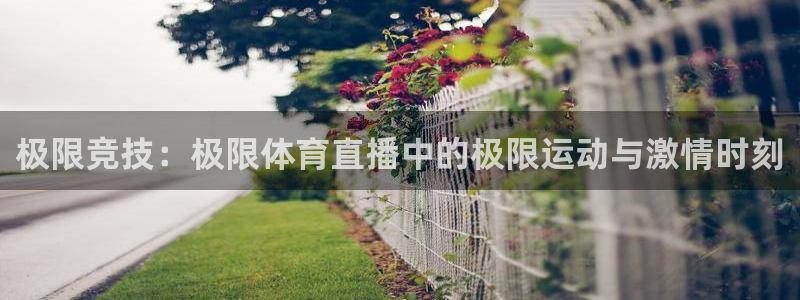 极限竞技：极限体育直播中的极限运动与激情时刻