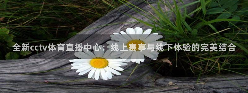 全新cctv体育直播中心：线上赛事与线下体验的完美结合